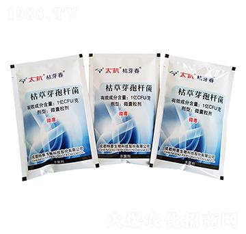 �ݲ�ѿ�ߗU��΢������-̫����ѿ��-��������