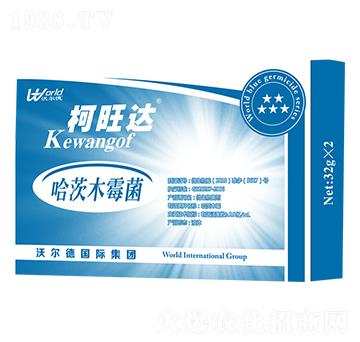 ����ľù��-�����_(d��)-�֠���