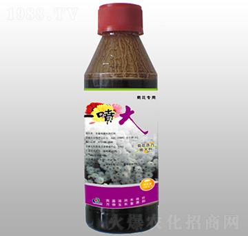 �ջ��������-һ����-ِ�(y��ng)�r(n��ng)��