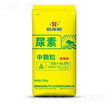 ���w������-���B��