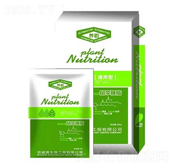 ͨ����������֬-�B(y��ng)�-������