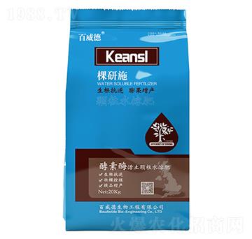 Ӣ��-����ʩ-������