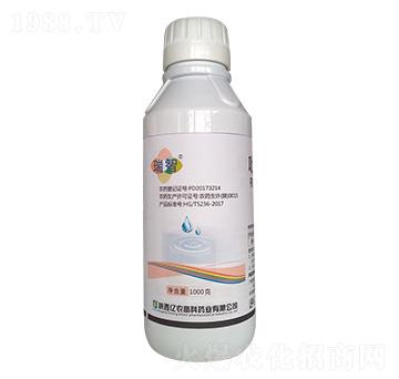 1000g�����Ѿ���-����-�|�r�߿�