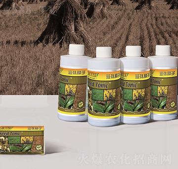 �N��̎�턩-���a�N��-������