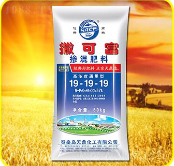 �������19-19-1