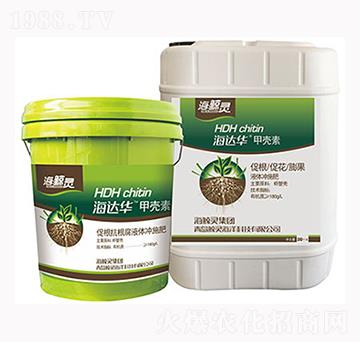 ���_(d��)�A�ך���-���L�`