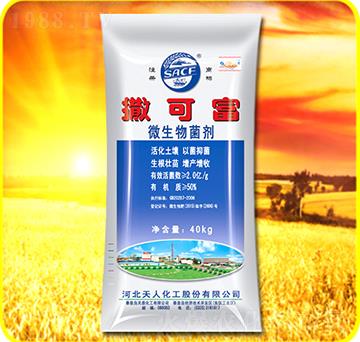 ΢�������-���ɸ�-��