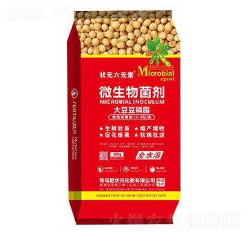 �ʠ�Ԫ-�󶹶���֬����-��Ԫ��Ԫ��