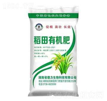 �����ЙC(j��)��-��������