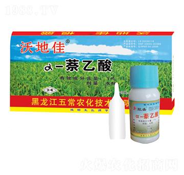 �ֵؼ�������-�峣