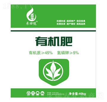 �ЙC�ʣ��u�S��-���d����