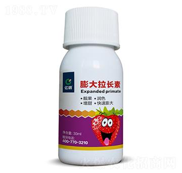 ��ݮ������L��-�R������