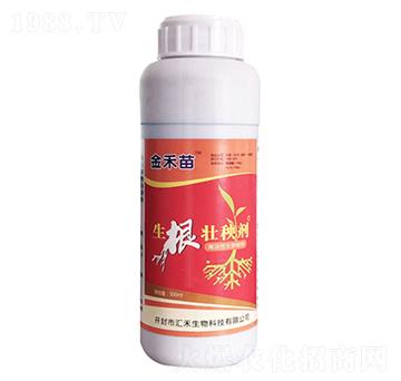 �������턩-�����-�R������