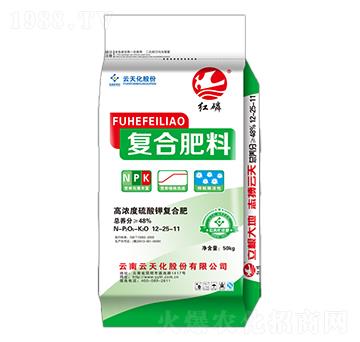 ������͏�(f��)�Ϸ�12-25-11-�t��-���o(j��)����