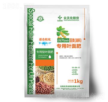 ���컯������ϣ������~���-���o(j��)����