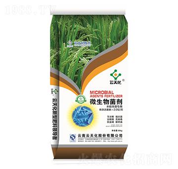 水稻本田專用微生物菌劑-世紀(jì)云天