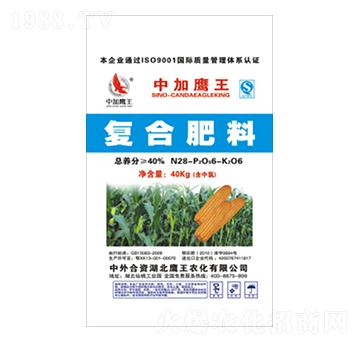 40%��(f��)�Ϸ���28-6-6-�����в�-�Z������