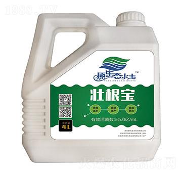 �Ѹ���-�ۿ�����