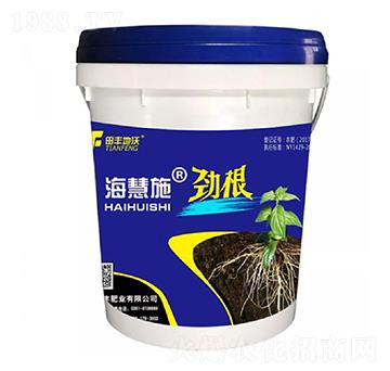 �Ÿ�-����ʩ-���S����