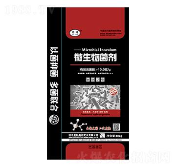 ΢���������-�ꕟ-���Ƽ��r