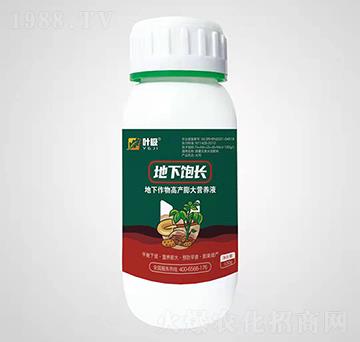 ��������߮a(ch��n)���I(y��ng)�B(y��ng)Һ-������L(zh��ng)-�殀������