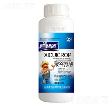 �۹Ȱ���-��������