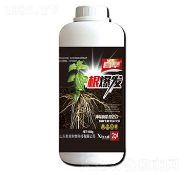 根爆發(fā)-麥肯生物