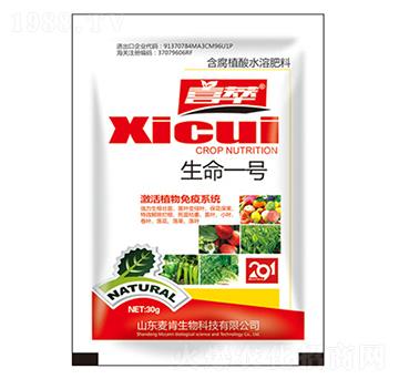 ����һ̖-��������