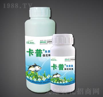 ����������ø���~����-�G�����