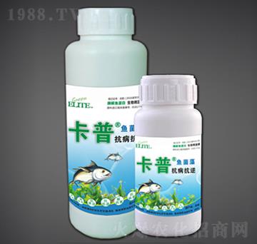 ����������ø���~(y��)����-�G�����