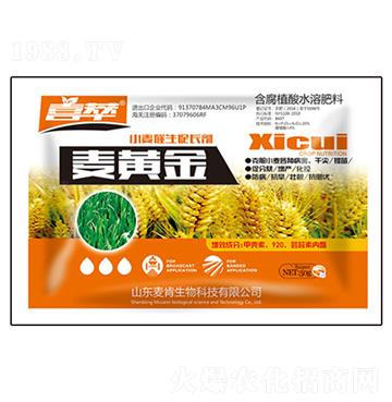 ���S��С���������L��-��������