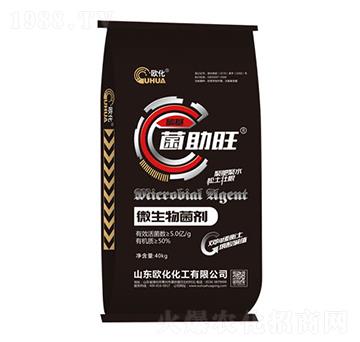 ������΢�������-�W��