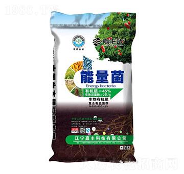 �ЙC(j��)���Ͼ���-���S�Ƽ�