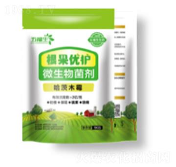 ΢�������-������(y��u)�o(h��)-�帣��