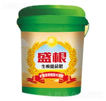 ���������-ʢ��-�̵�