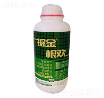 �����g-�̵�