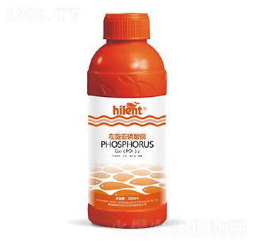 �����������~-���{��