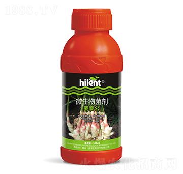 500ml΢�������-��̩��-���{��