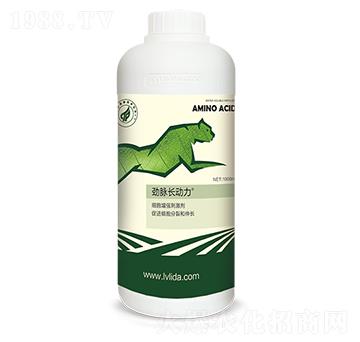 ��(x��)������(qi��ng)�̼���-�L(zh��ng)��(d��ng)��-���}