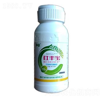 ���S��-��ɭ�r(n��ng)�I(y��)