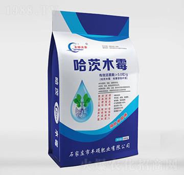 ����ľù-�S�T���r(n��ng)