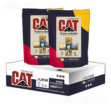 ����؈�}�V��-�ƻ��r