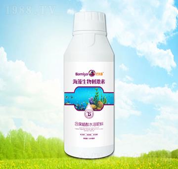 ��������̼���-���ׁ�