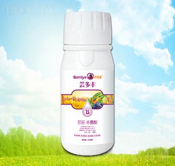 �|̦����ù��-�|���S-���ׁ�