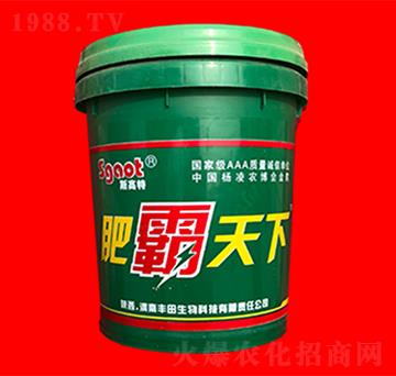 肥霸天下-斯高特-黑馬肥業(yè)