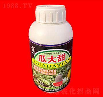 瓜大甜葉面肥-黑馬肥業(yè)