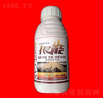生根養(yǎng)根專家-根能-黑馬肥業(yè)