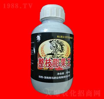 ��֦�����-���ӱ�-���R�ʘI(y��)