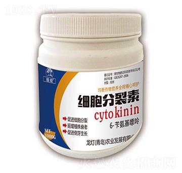 ��(x��)�������أ�1000g��-ֲ�^-�����r(n��ng)�I(y��)