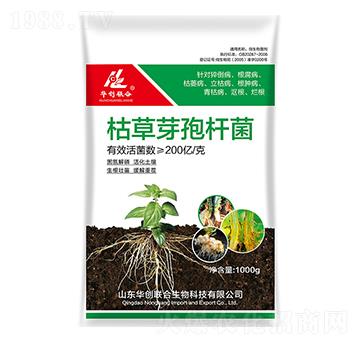 �ݲ�ѿ�ߗU��-�A��(chu��ng)(li��n)��